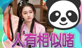 主播吃瓜爆料伙伴娱乐,吃瓜爆料，伙伴娱乐背后的精彩故事